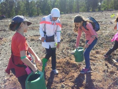 Trois élèves plantent et arrosent de jeunes arbres, arrosoirs verts à la main.